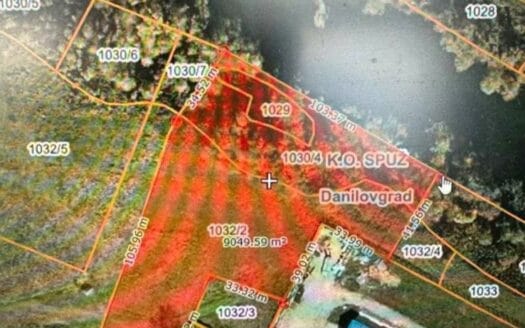 Agricultural land – Spuž, Danilovgrad